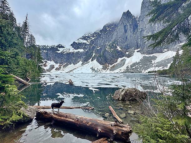A woman with a Border Collie enjoys Lake Serene in Washington's Cascade Mountains.