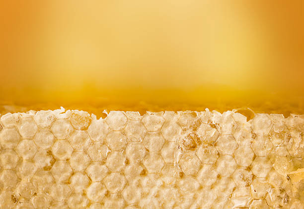 Macro shot of a raw honeycomb showing wax cells in golden light. Ideal for themes related to beekeeping, honey production, and natural organic products.