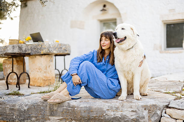 istock Peaceful moment with a loyal dog 2214362582