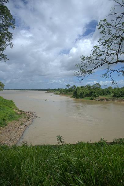 istock Rivers and watercourses in Venezuela. 2214362808