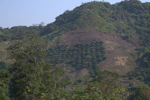 istock The mountains in Venezuela. 2214362839