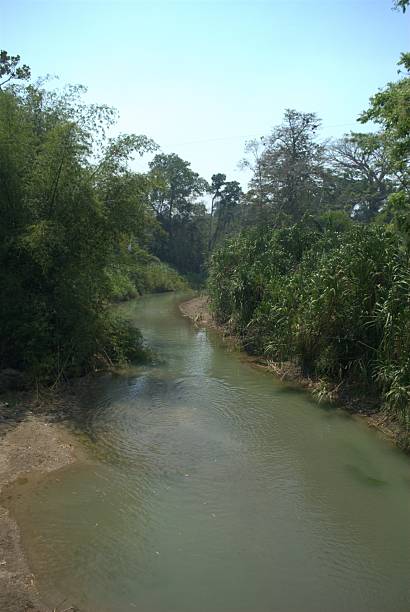 istock Rivers and watercourses in Venezuela. 2214366151