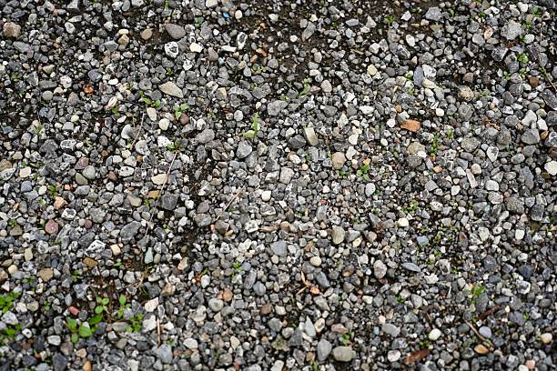 High-resolution top-down image of a gravel surface with small pebbles and scattered patches of emerging green weeds, ideal as a natural background or texture reference.