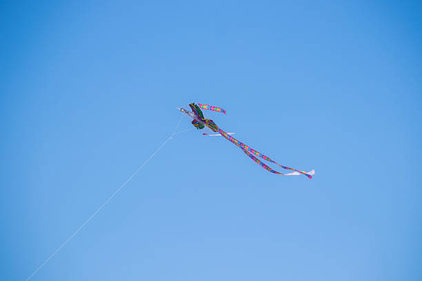 istock The dance of a eagle kite across the blue sky. 2214375172