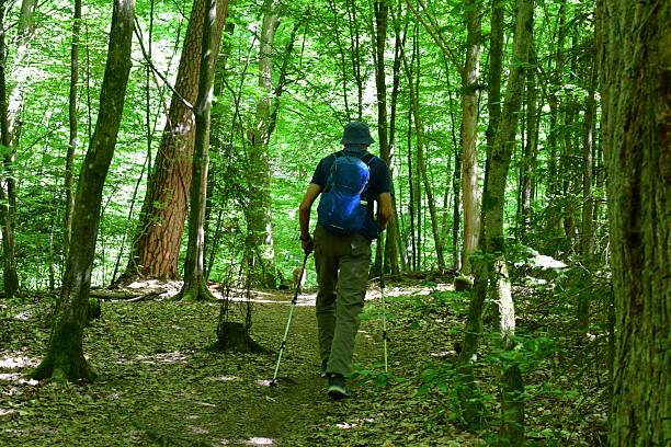 Mann wandert in Franken