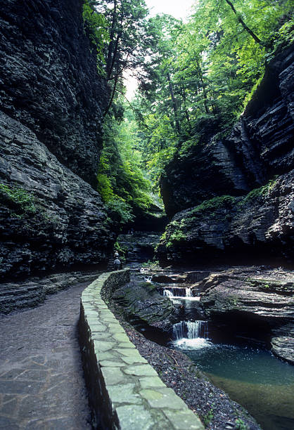 watkins glen sp - stezka pro pěší - 1985 - 1985 fotky - stock snímky, obrázky a fotky