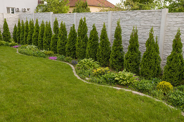 istock Decorative Concrete Fence Panels with a green thujas in the spring 2214388112
