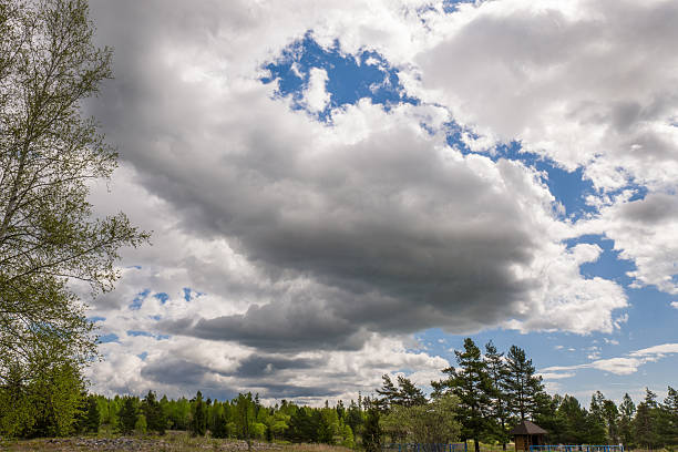 istock Dark sky in the spring with a green trees and dark clouds and blue sky 2214389617
