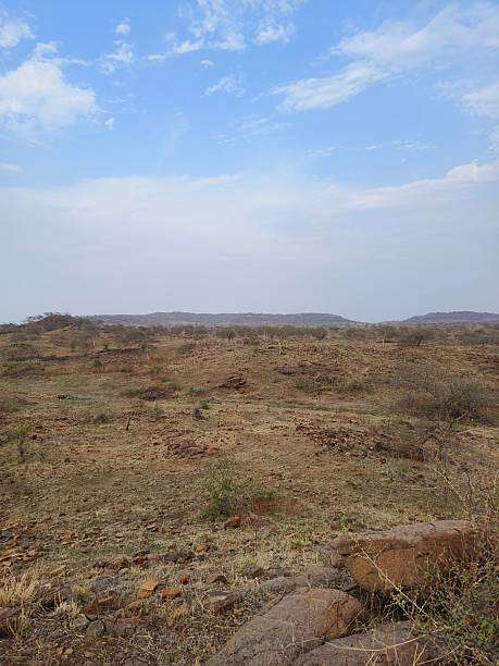 istock Landscape of meadow 2214392155