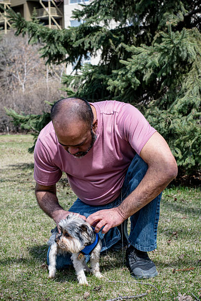 istock Man Helping Dog with Harness on Sunny Spring Day 2214396465