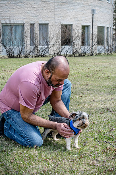 istock Man Helping Dog with Harness on Sunny Spring Day 2214396472
