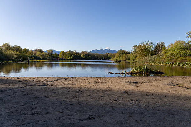 View of a lake with trees and mountain ranges