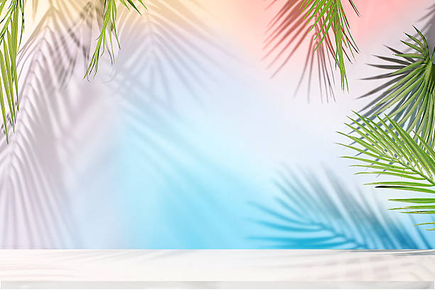 istock Elegant sunny colorful banner,background with long shadows from palm leaves.Empty beautiful tropical podium and template for your creativity,summer party concept and product display stand 2214399050
