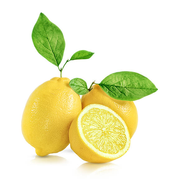 three lemon fruits with leaves are highlighted on a white background