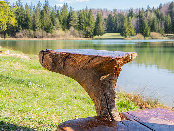 Countryside public wooden bench Surrey England Europe