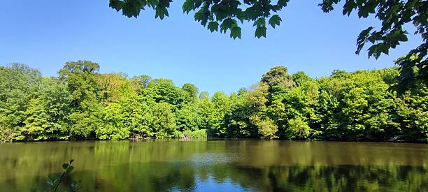 istock City Park in The Hague, Netherlands 2214405234
