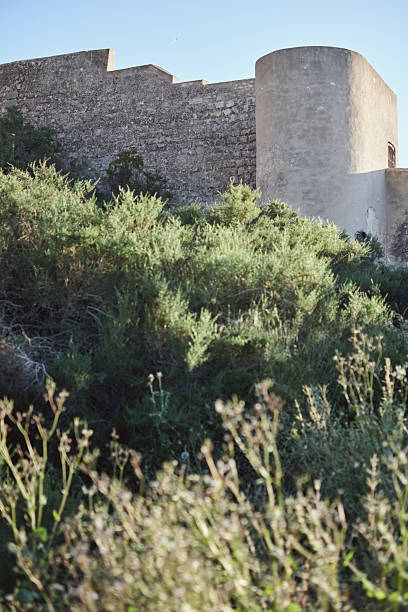Ancient stone fortress with tower rising above lush greenery on a clear sunny day.