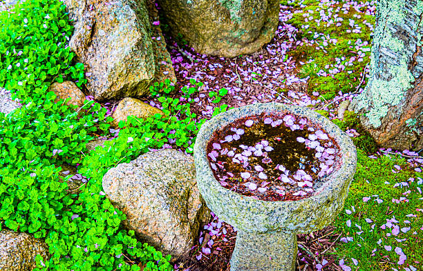 Delicate pink petals from a flowering tree overhead, drop into the water of a granite bird bath in a Cape Cod garden.