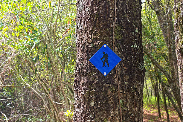 istock A blue hiking trail marker 2214407899