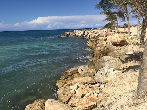istock Exploring the rocky shoreline in Trelawny, Jamaica. 2214419952
