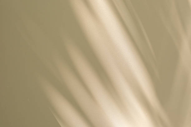 istock Studio style background wall decoration presentation uses white and beige tones. with shadows cast from a nearby window, concept creating a decorative 2214433057