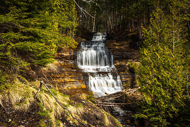 The Mosquito river in Michigans Pictured Rocks National Lakeshore flows over rocks, logs and around a bend.