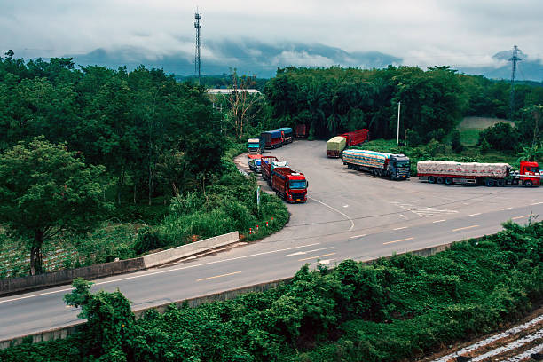 View of trucks driving along countryside road stretching between green grove
