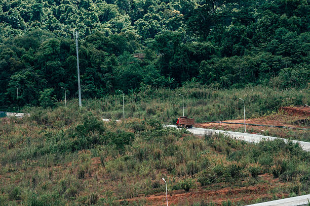 View of trucks driving along countryside road stretching between green grove
