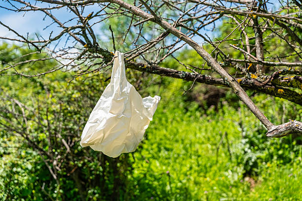 istock Plastic bag hanging from a tree branch, abandoned by the irresponsibility of man. 2214448249