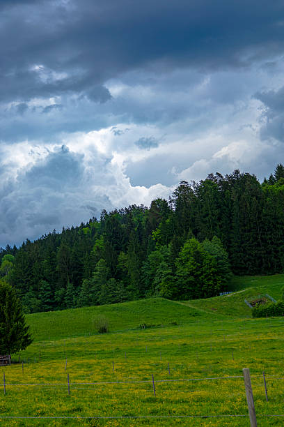 A picturesque scene featuring a lush green meadow and dense forest under a dramatic, cloudy sky. The contrast between the vibrant greenery and the dark, stormy clouds creates a captivating and serene atmosphere