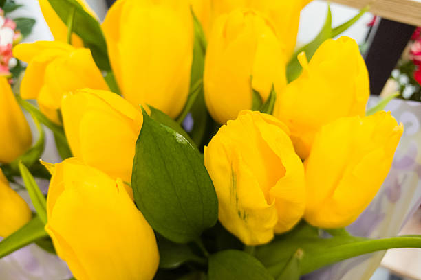 istock Bright yellow tulips blossom in a vibrant spring arrangement 2214460395