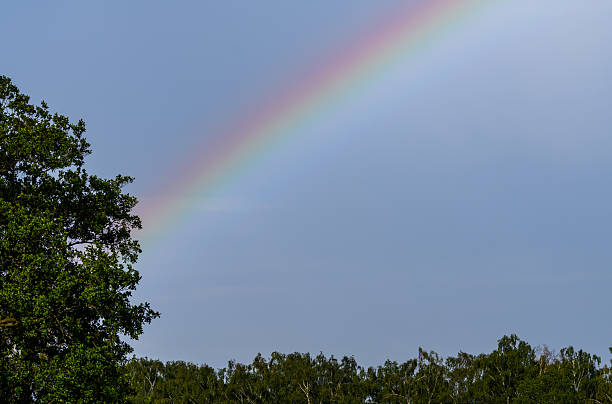 istock Rainbow in the sky over the forest 2214468404