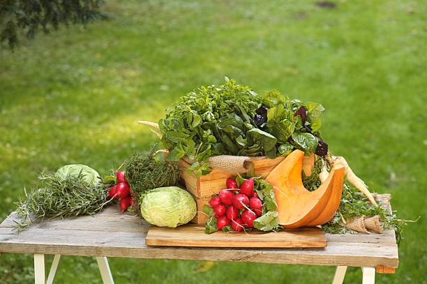istock Different fresh herbs and vegetables on wooden table outdoors 2214479644