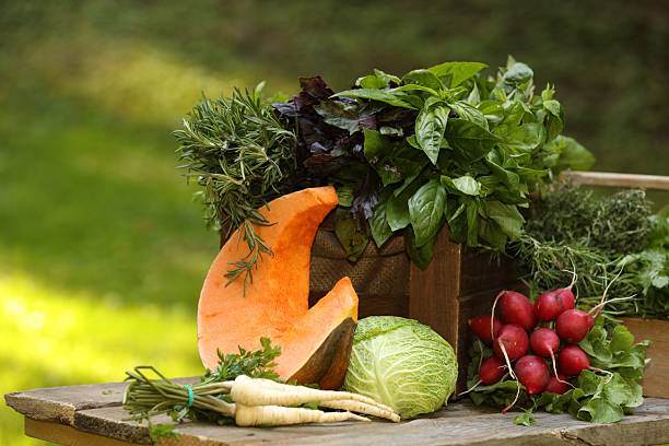 Different fresh herbs and vegetables on wooden table outdoors