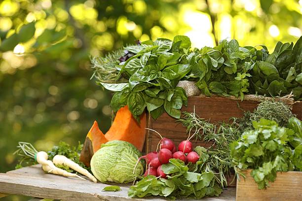 Greens, dill, parsley on a wooden board, close-up