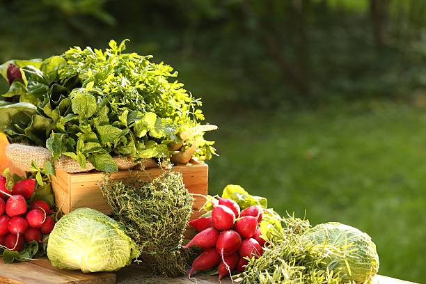 Different fresh herbs and vegetables on wooden table outdoors, space for text