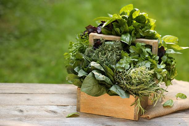 istock Different fresh herbs in basket on wooden table outdoors, space for text 2214479858