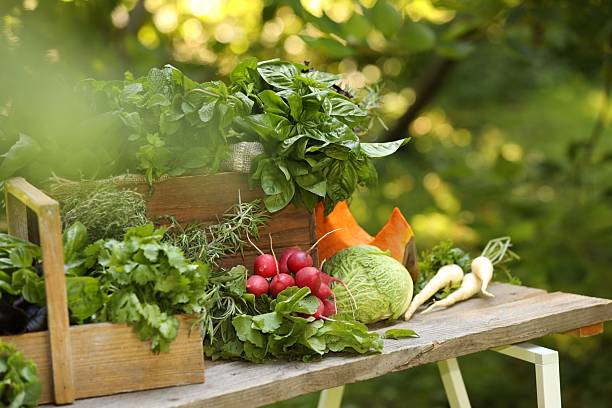 Greens, dill, parsley on a wooden board, close-up