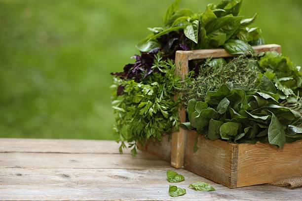 istock Different fresh herbs in basket on wooden table outdoors, space for text 2214479873