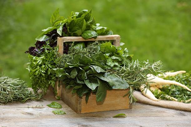 istock Different fresh herbs in basket on wooden table outdoors 2214479878