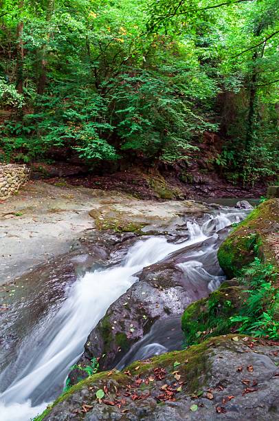 istock A vibrant river flows gracefully through a verdant forest, creating a tranquil and scenic view. 2214486488