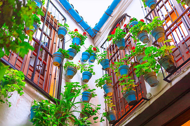 Charming courtyard with white walls adorned with numerous blue hanging flower pots filled with vibrant red and green plants, attached to balconies. Scene is framed by lush greenery climbing the walls