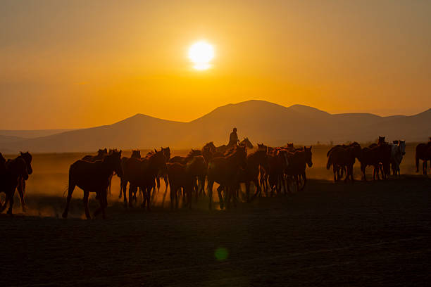 istock Kayseri wild horses and Mount Erciyes 2214489869