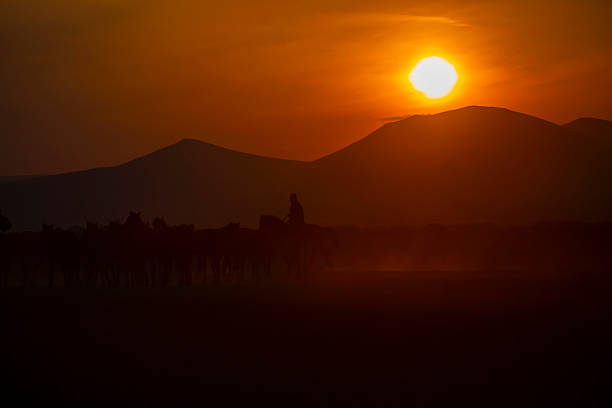 Kayseri wild horses and Mount Erciyes