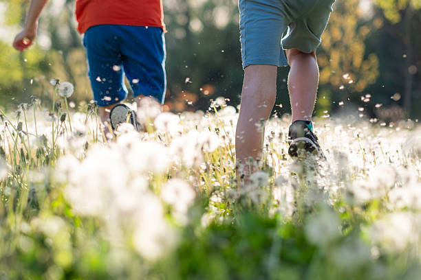 istock two boys are running through a meadow of flowers 2214492477