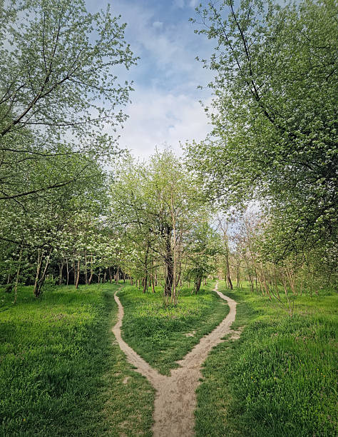istock Split footpath in the forest, choosing the right way concept. Idyllic spring rural landscape with two distinct dirt trails in the nature leading unknown destinations. Forked path and decision making 2214492528