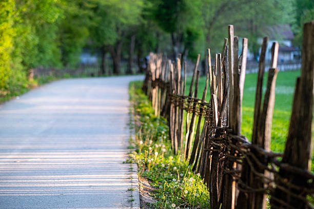 close up of a small road surrounded by a meadow and the sun shining