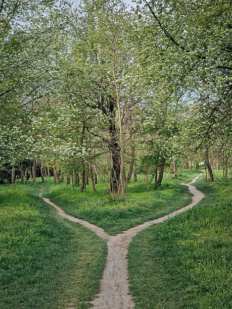 istock Split footpath in the forest, choosing the right way concept. Idyllic spring rural landscape with two distinct dirt trails in the nature leading unknown destinations. Forked path and decision making 2214493279