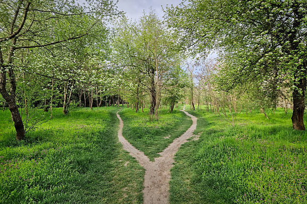 istock Split footpath in the forest, choosing the right way concept. Idyllic spring rural landscape with two distinct dirt trails in the nature leading unknown destinations. Forked path and decision making 2214493281