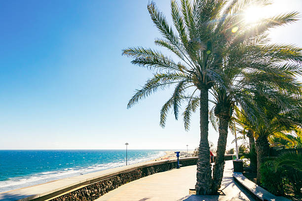 istock Maspalomas Beach promenade, Gran Canaria island, Spain 2214496220